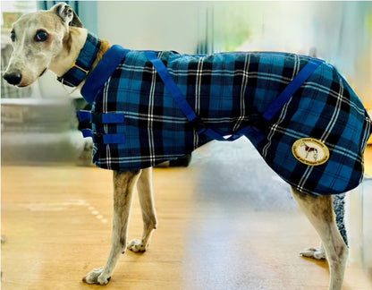 Blue/Black Checked Twill Coat & matching Martingale Collar for Greyhounds - the lighter layer collection