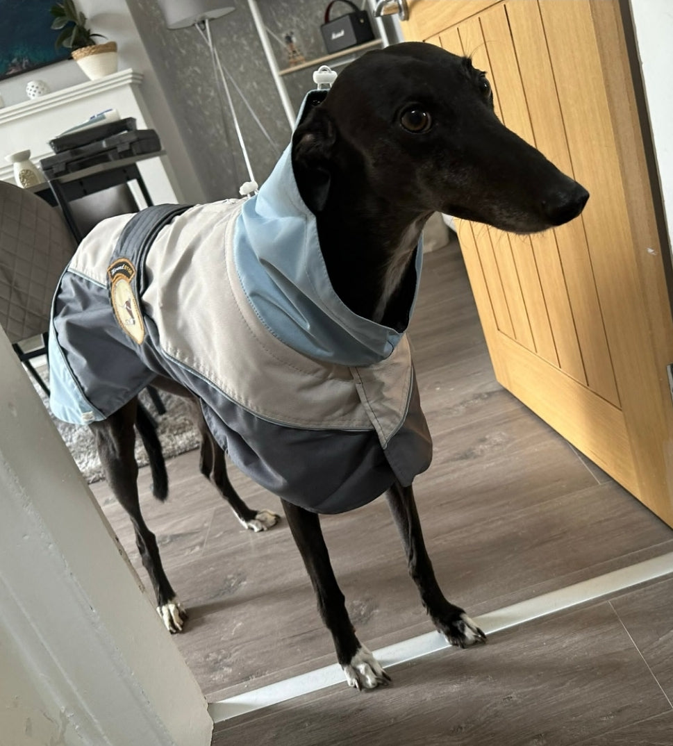 Rain coat for whippets grey/powder blue - the waterproof rain coat collection