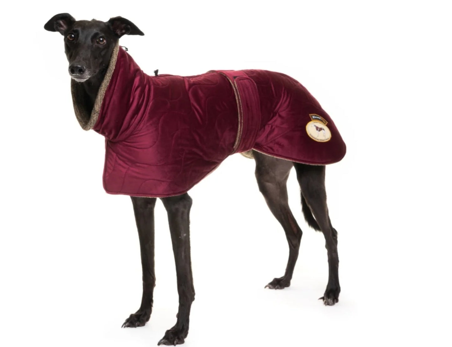 Ruby velvet knit jacket for whippets - the luxury regal collection