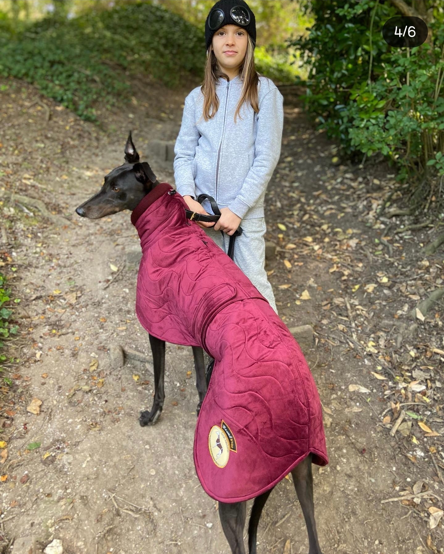 Ruby velvet knit jacket for whippets - the luxury regal collection