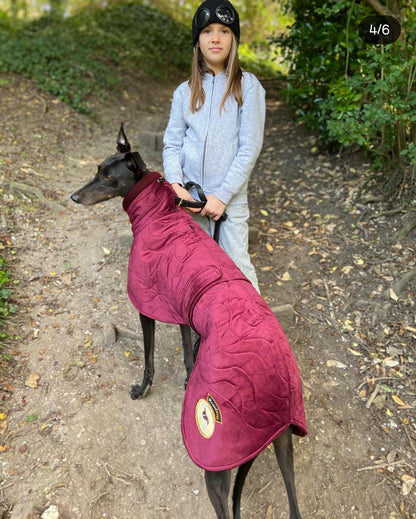 Ruby velvet knit jacket for greyhounds - the luxury regal collection