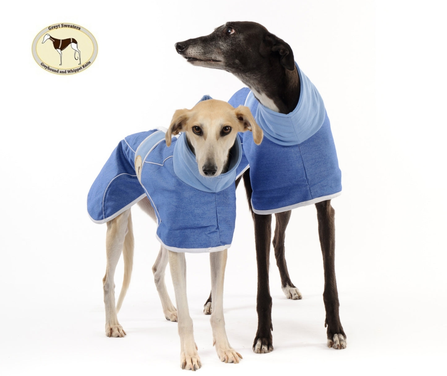 Stonewashed, Faded Blue Denim House Coat for Whippets + Greyhounds - the denim collection