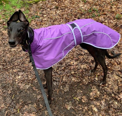 Rain mac for Italian greyhounds - the waterproof rain mac collection