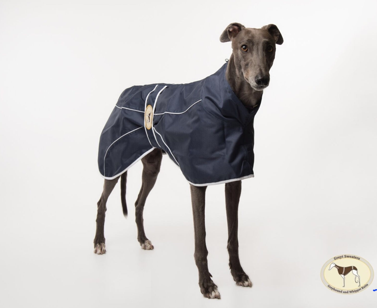 Navy Blue Rain Mac for Whippets - the waterproof rain mac collection