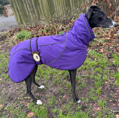 Deep Purple Soft Shell Jacket for Whippets - the luxury midweight collection