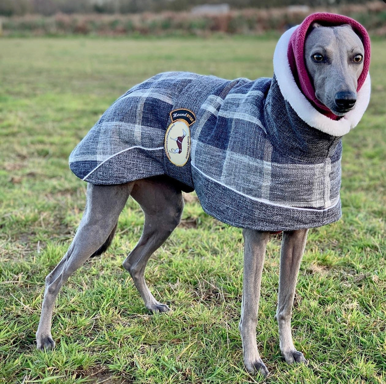 Ash Tweed coat for greyhounds-the luxury tweed collection