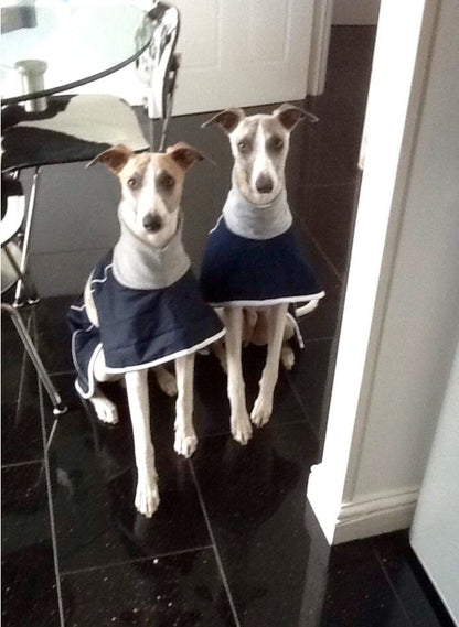 Indigo Blue Denim Coat for Greyhounds and whippets - the denim housecoat collection