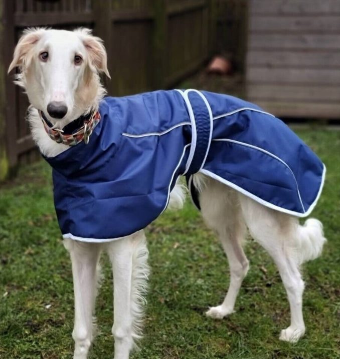 Rain mac for Italian greyhounds - the waterproof rain mac collection