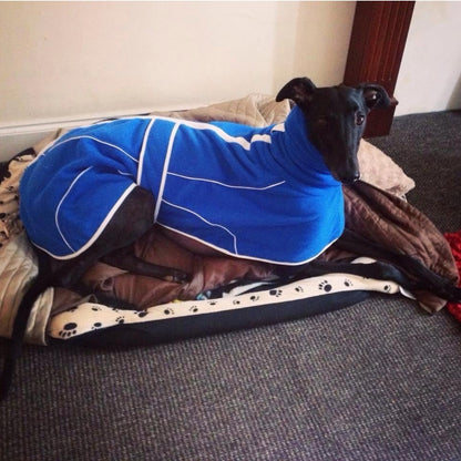 Royal Blue Fleece Housecoat for Greyhounds and whippets - the fleece housecoat collection