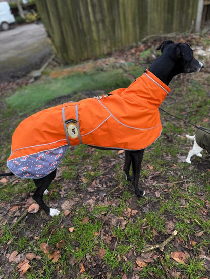 Orange umbrella print rain mac for whippets - the waterproof rain mac collection